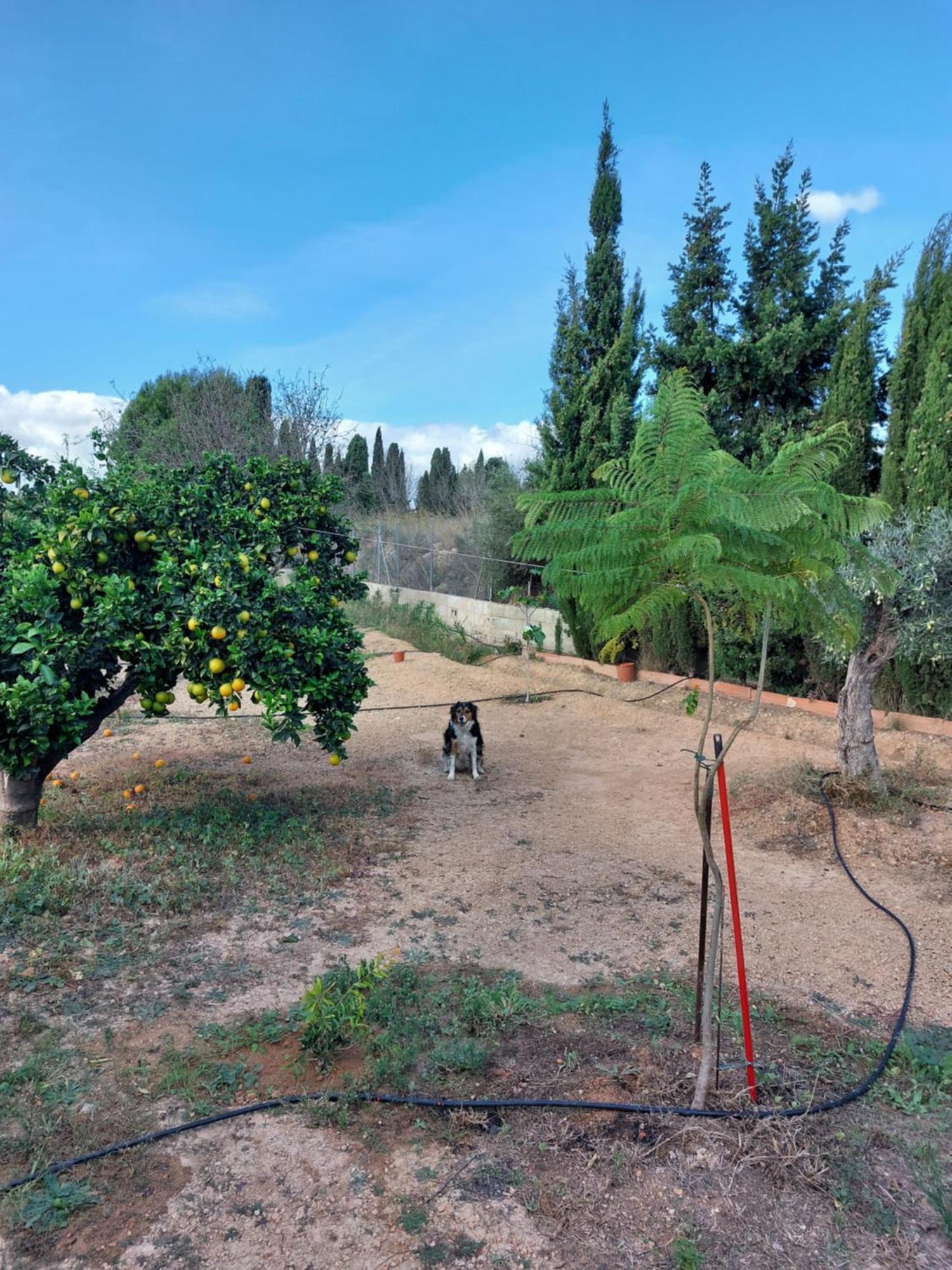 Les Berreries Villa Montroy Bagian luar foto